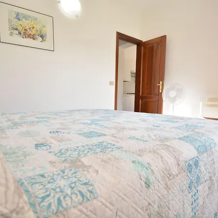 Coclearia * San Teodoro (Sardinia)