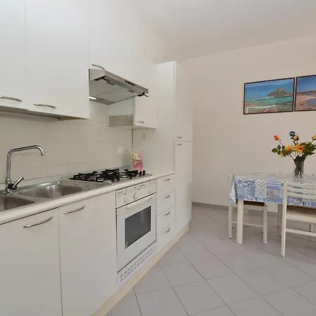 Coclearia * San Teodoro (Sardinia)