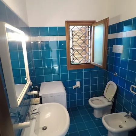 Coclearia * San Teodoro (Sardinia)