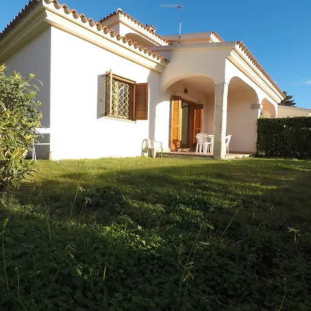 Coclearia * San Teodoro (Sardinia)