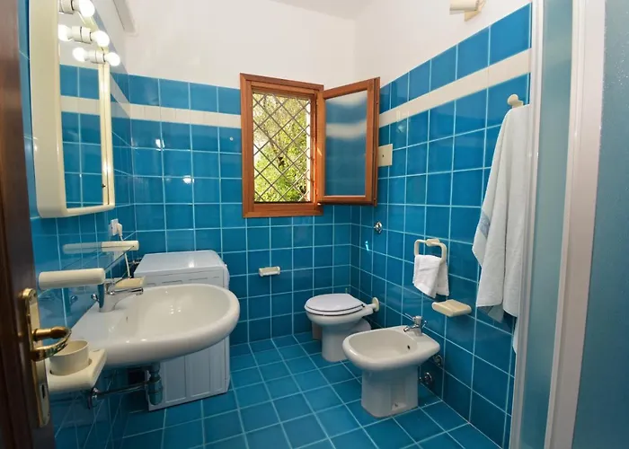 Coclearia Nyaraló *